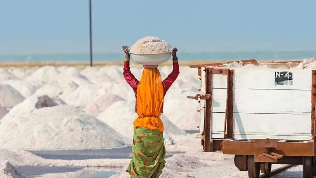 Workers collect salt in salt farm in Sambhar Salt Lake