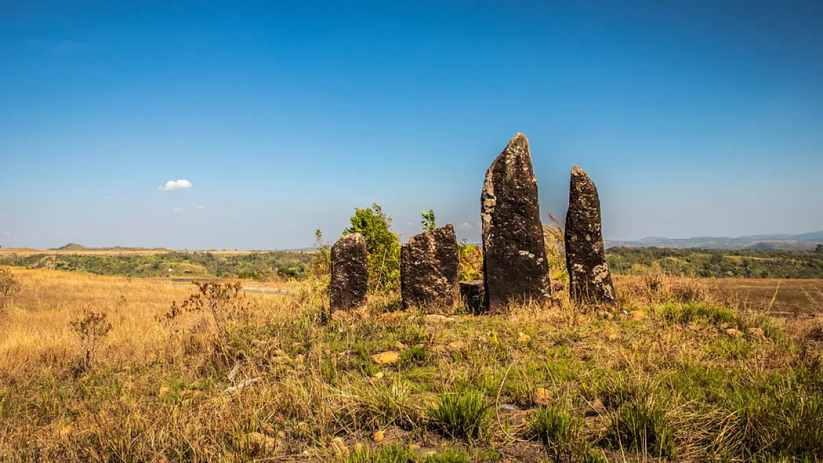 Spanning a land area of 193 acres, the forest is protected by members of the Lyngdoh clan