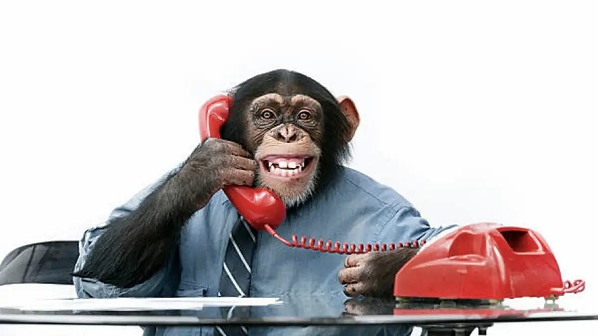 Why Solana, Ape Coin And Quitriam Finance Are The Choice For Q3 2022