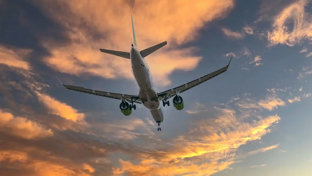 Domestic air traffic has almost reached pre-pandemic levels according to a latest report