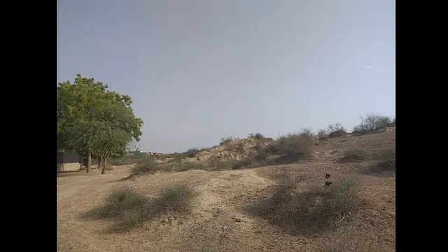 Recent Excavations In Haryana’s Rakhigarhi Throw New Light On Indus Valley Civilisation
