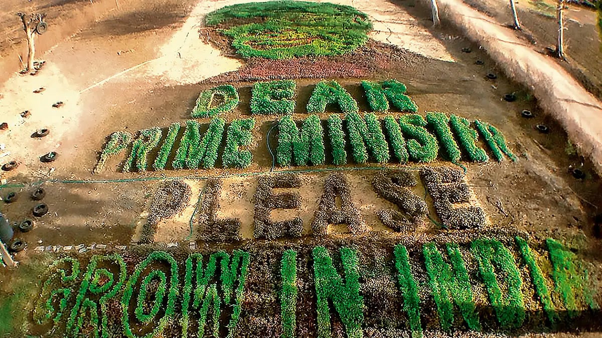 The Ides Of March: Heatwave Strikes