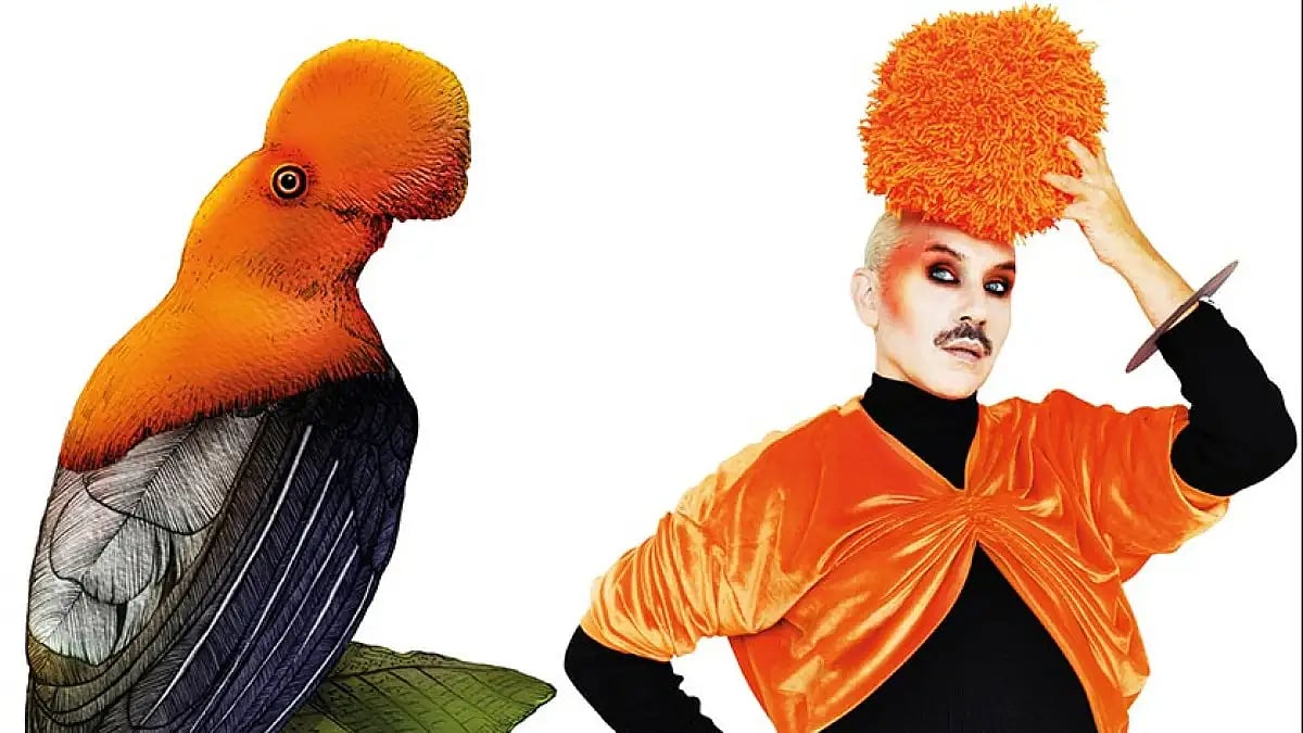 Birds Can Fly, a body of work by Paul Harfleet.