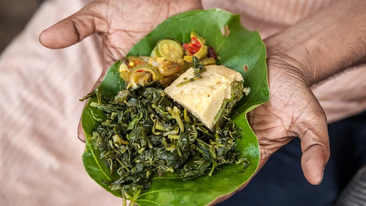 Most vegetables are uncultivated; the Adivasi people forage them from forests