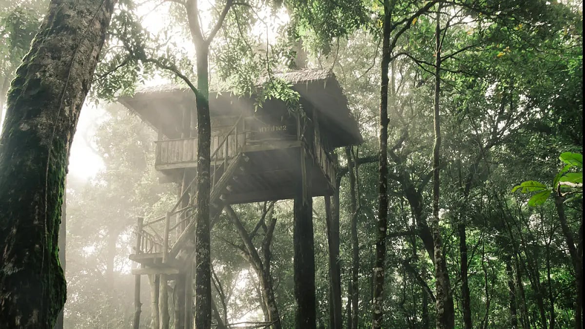 Fulfill your childhood dream of staying in a treehouse 