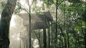 Fulfill your childhood dream of staying in a treehouse