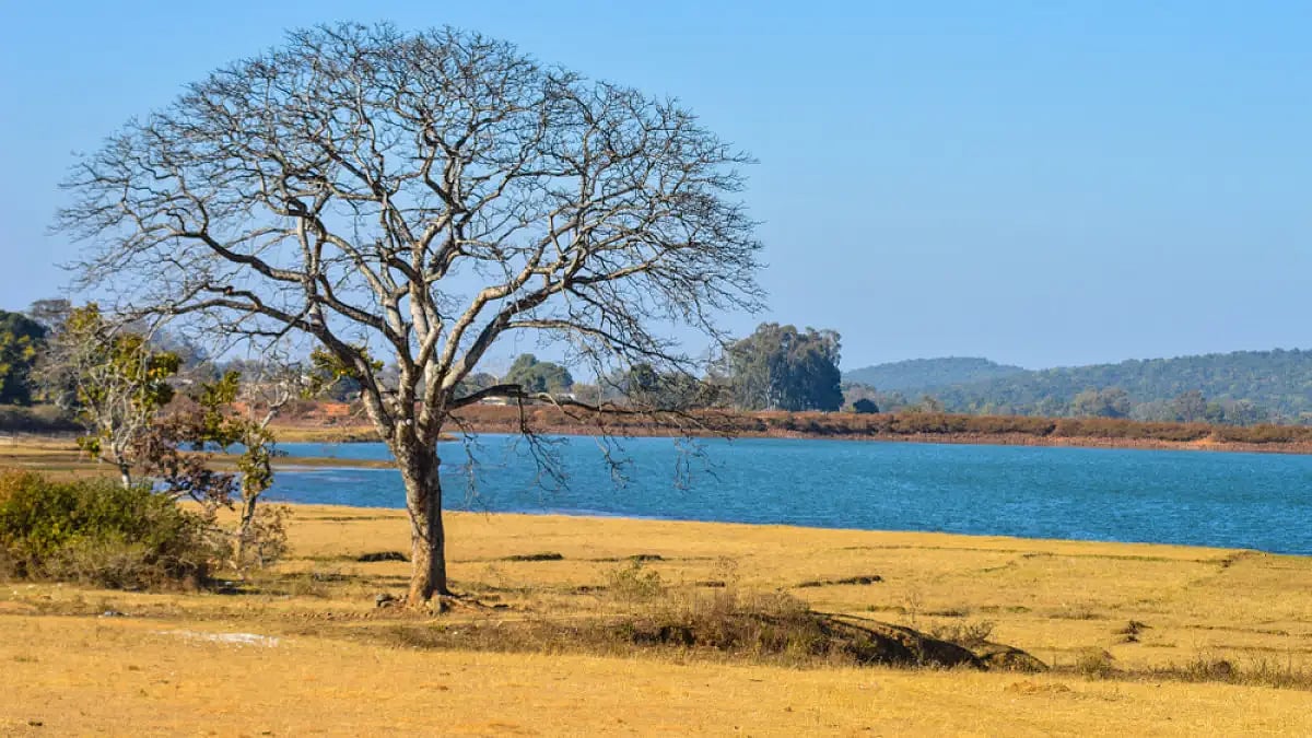 The pristine landscape of Netarhat