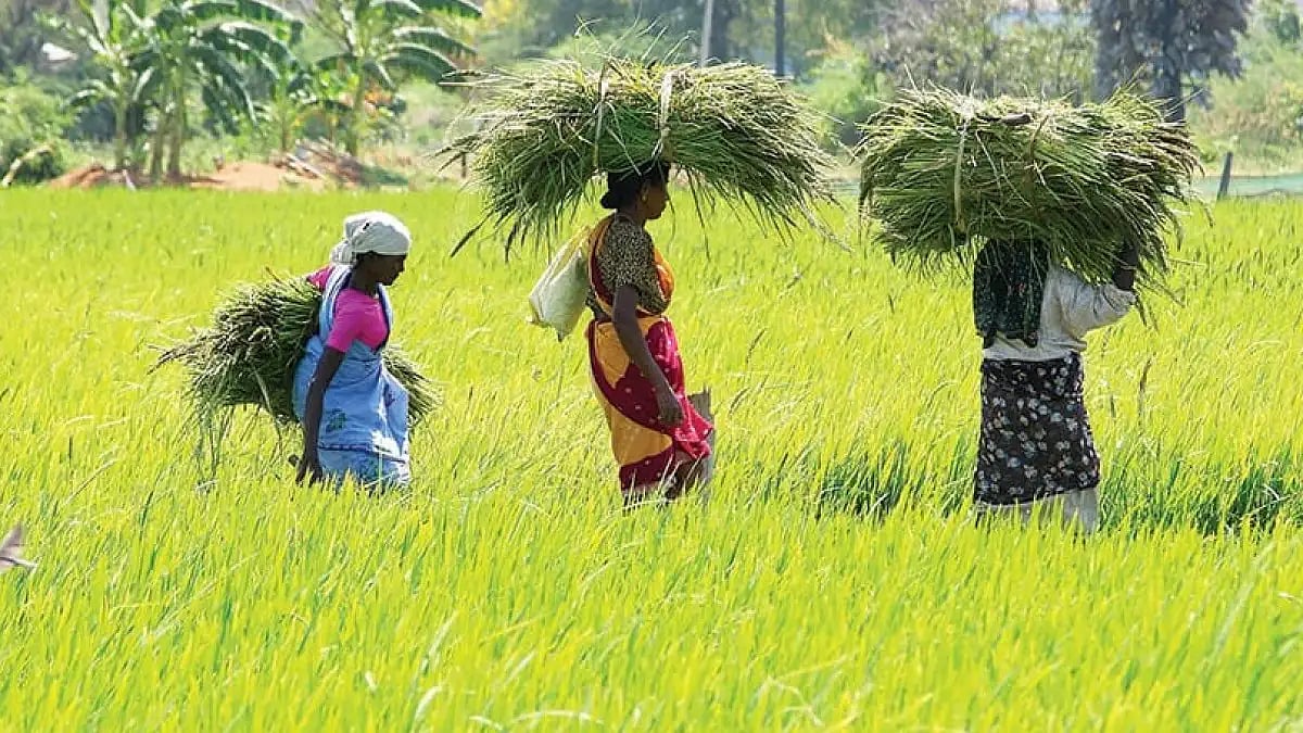 YS Chowdary’s Sujana Foundation is promoting equitable development