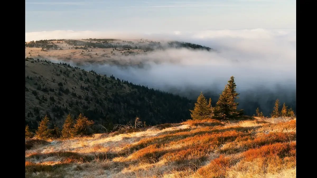 The Jeseniky Mountains shrouded in mist. The Sky Bridge 721 spans across this mountain