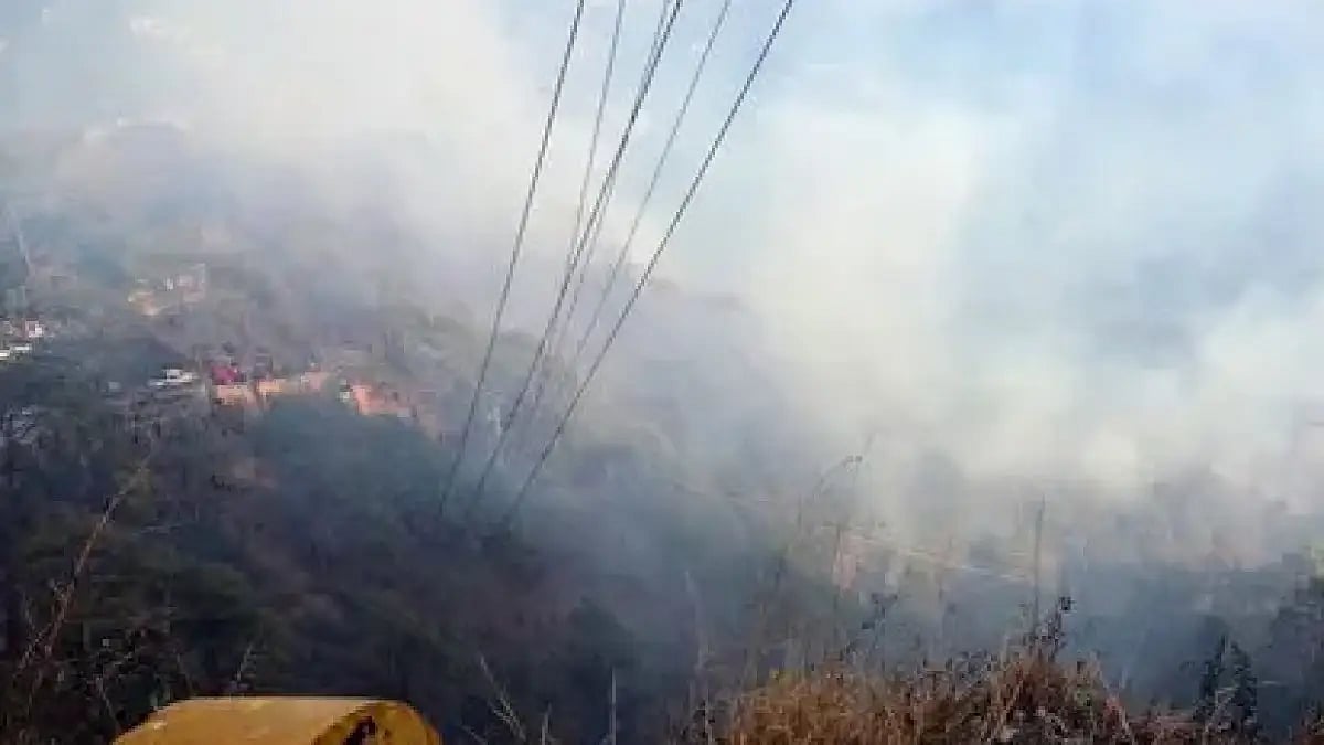 Forest Fire (Representational Image)