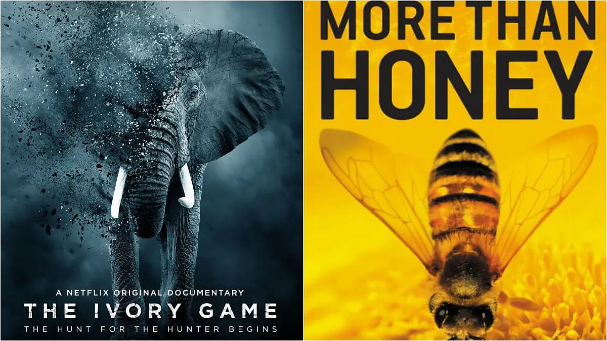 Best Documentaries On Endangered Species