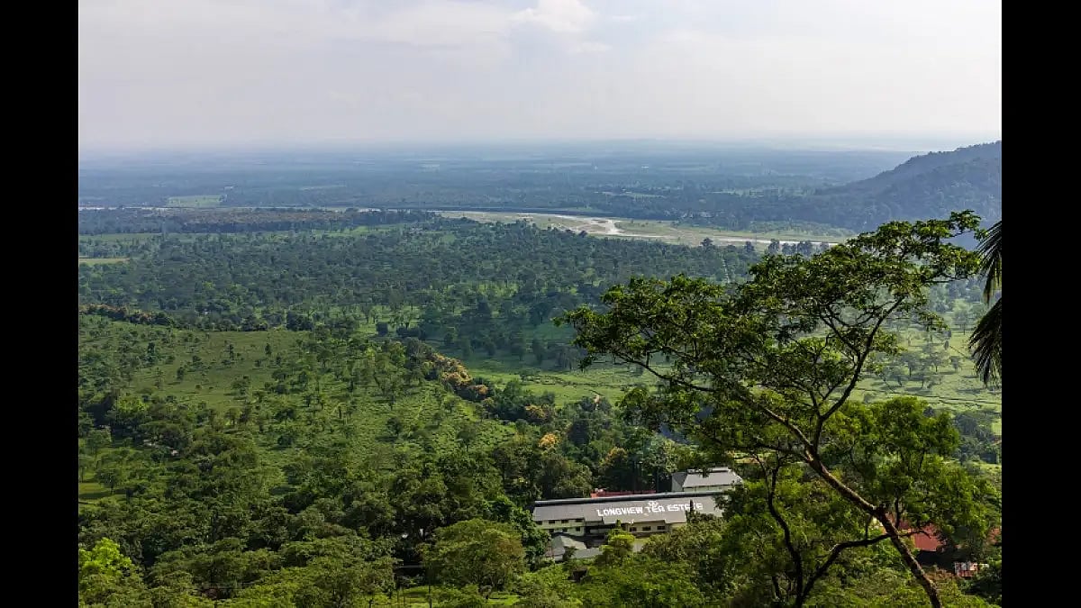 The infinity view from Longview Bungalow justifies its name