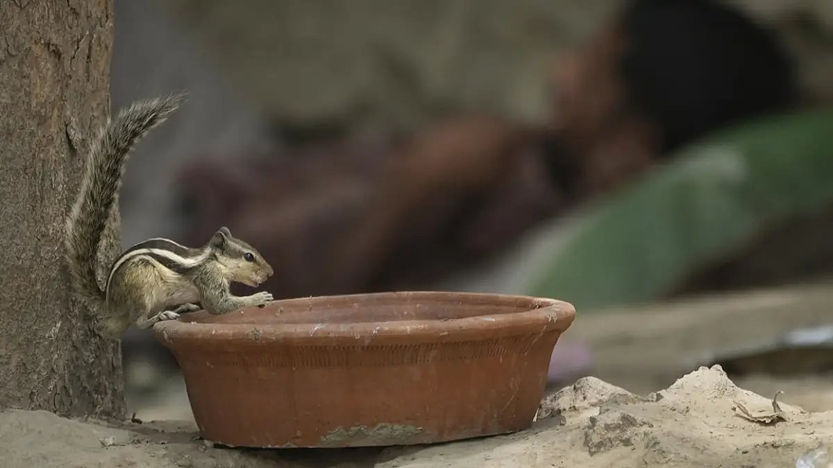 Parts Of Andhra Pradesh To Experience Heatwave Conditions Today, Tomorrow