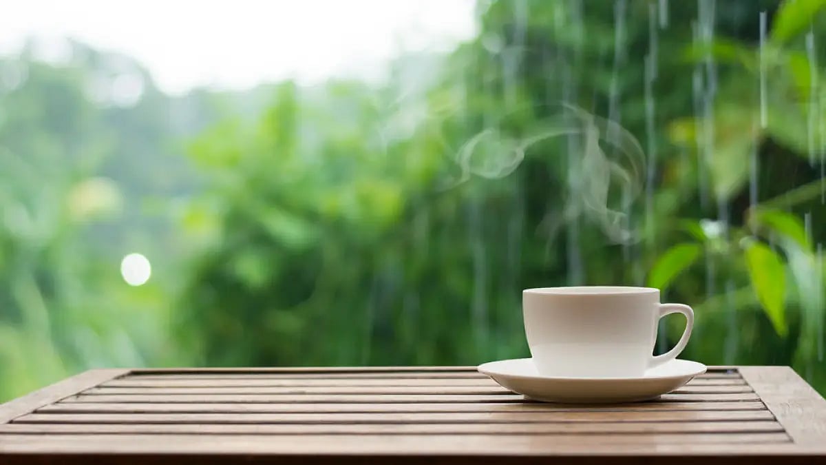 International Tea Day