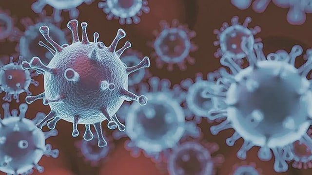 Omicron: India Reports First Cases Of BA.4 Covid-19 Subvariant
