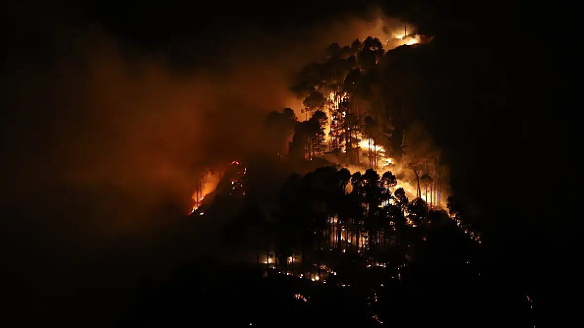 Forest fire in Jammu and Kashmir (Representative image)