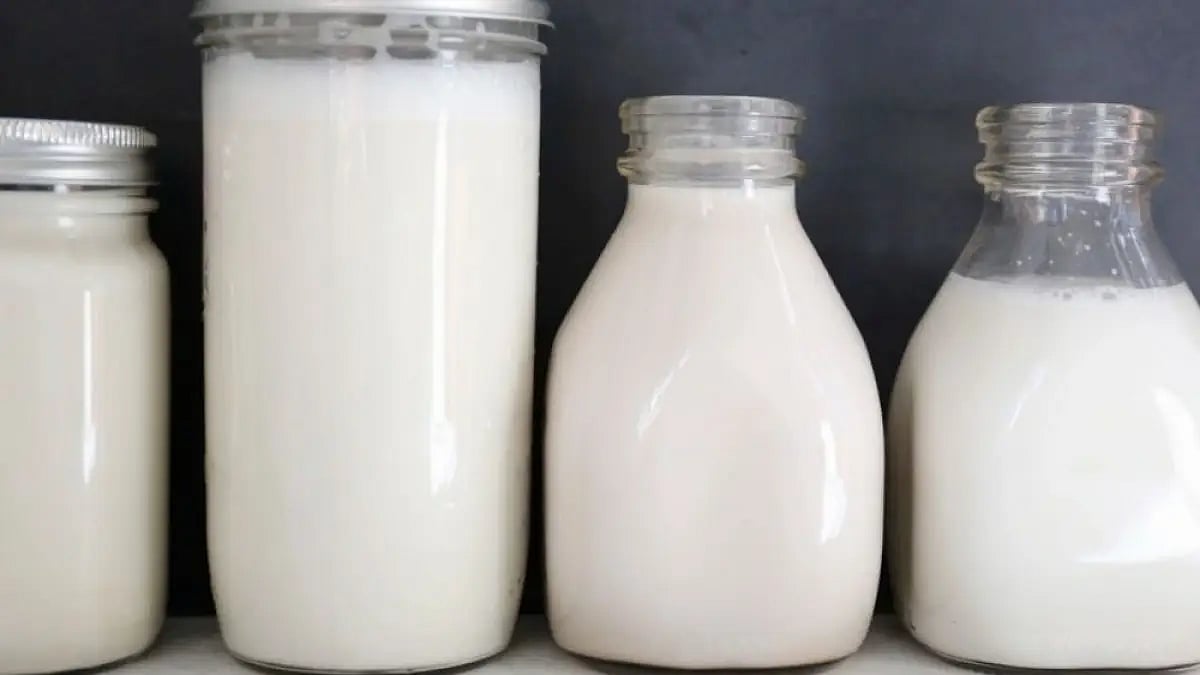 Plant-based milk product. 