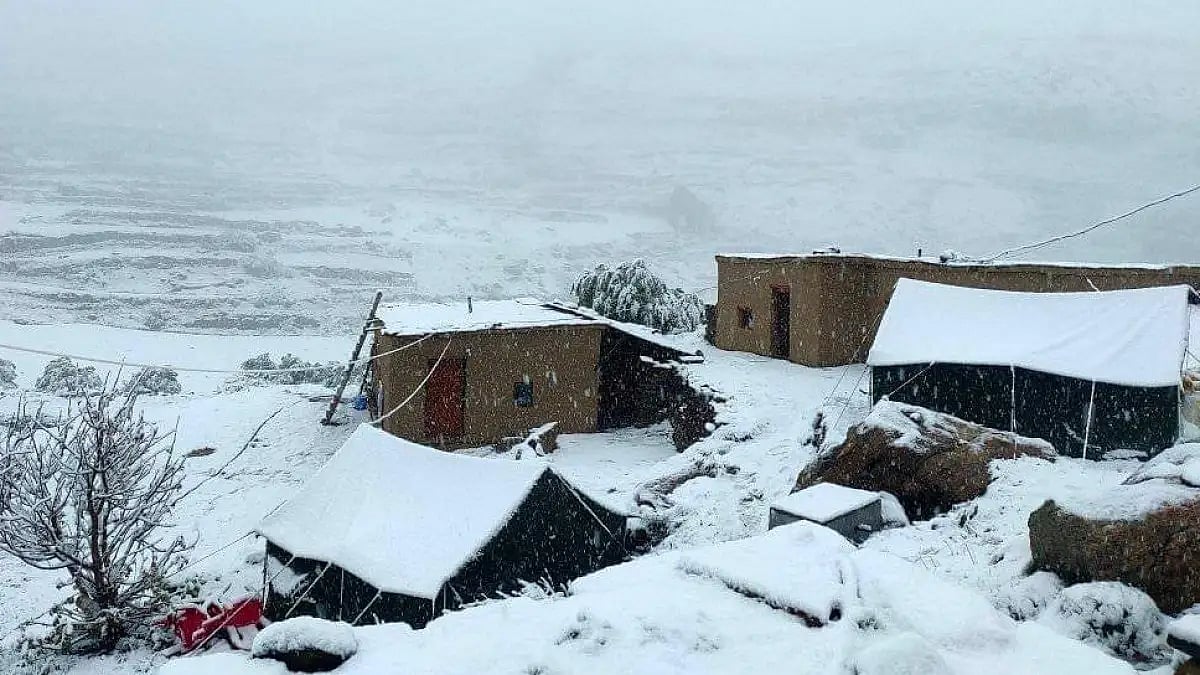 Heavy snowfall in Himachal's Lahaul-Spiti