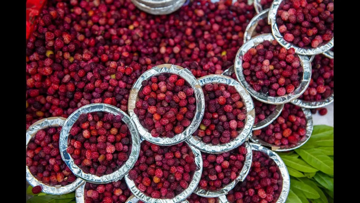 Kafal berries being sold in Nainital 