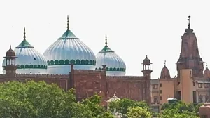 FILE : Representative Image