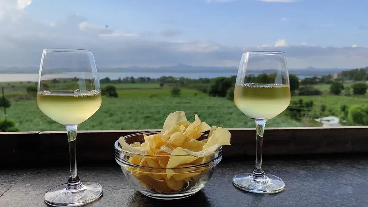 Wine tours have become increasingly popular with millennials