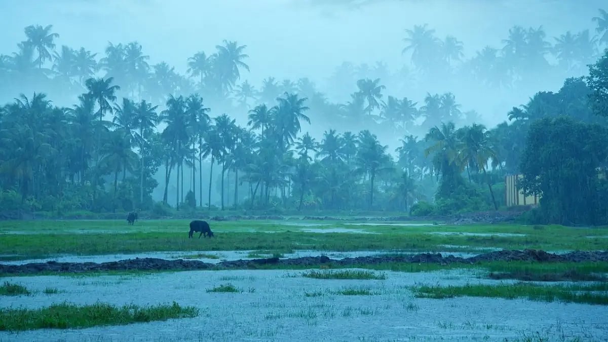  Heavy Rain Cause Landslides In North Bengal