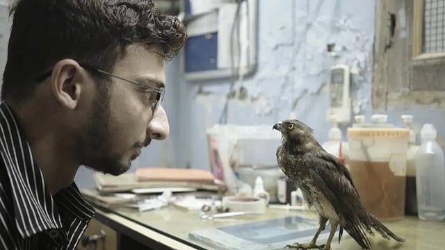 Cannes 2022: Indian Film 'All That Breathes' Wins Top Documentary Award