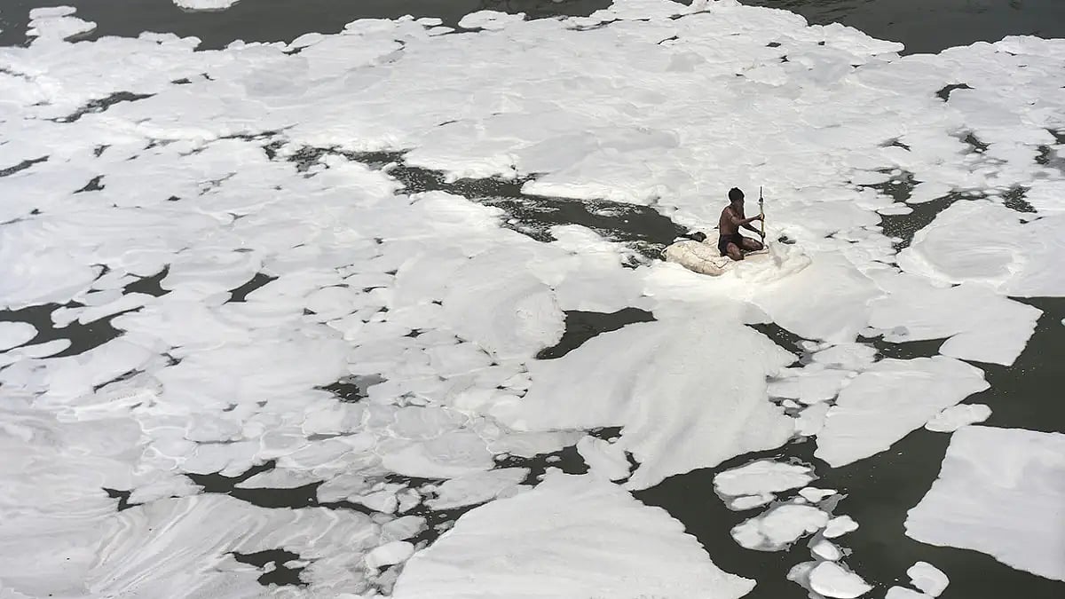 Environment: Yamuna pollution