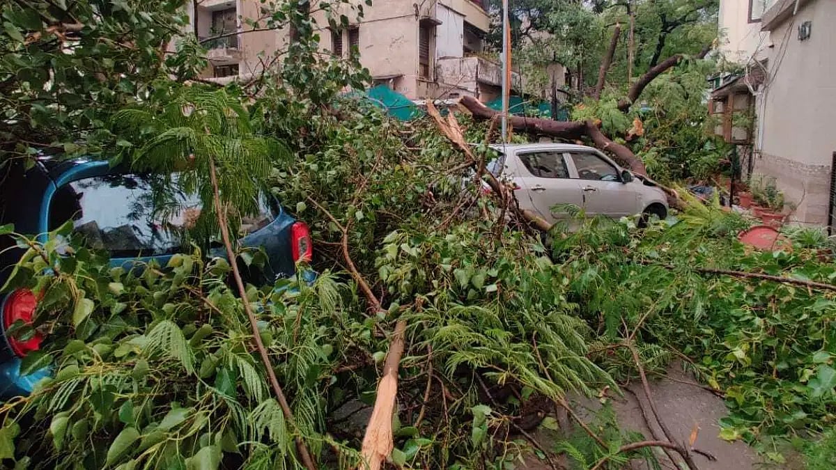 A tree fallen over a car in Delhi on Monday because of high-speed wind