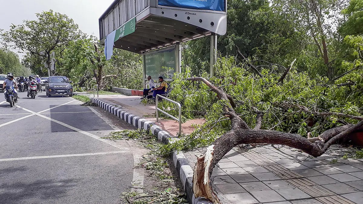 Thunderstorm Aftermath In Delhi 