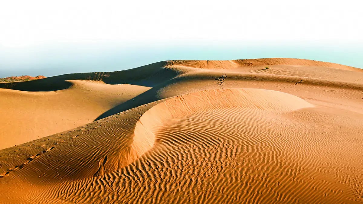 Photograph: Shutterstock