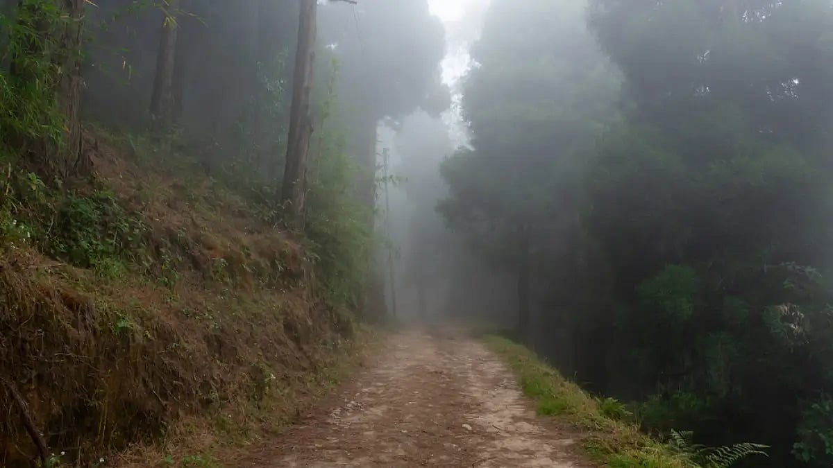 You may be shrouded in mists from time to time on the trail
