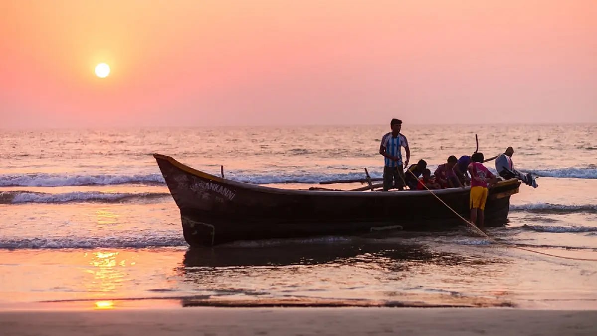 Goa’s 160km coastline and its marine life is under direct threat from irresponsible tourism