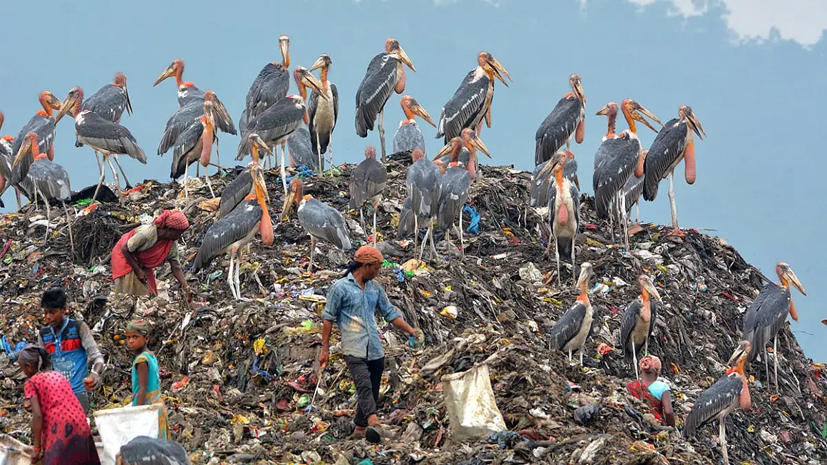 World Environment Day: Boragaon garbage dumping site