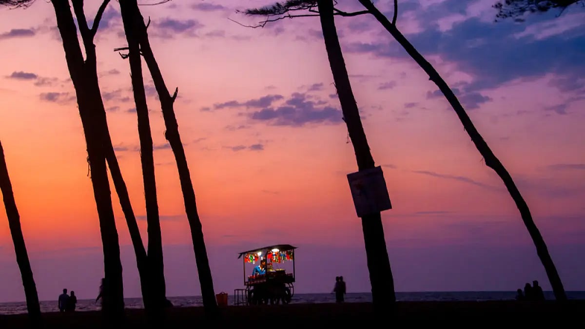 Evening strolls at the Calicut beach is magical. Apart from the long shoreline and endless waves, th
