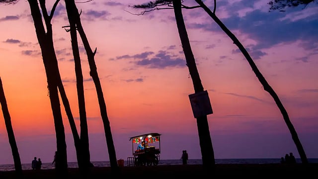 Eat Like A Local: The Food Trail In Calicut