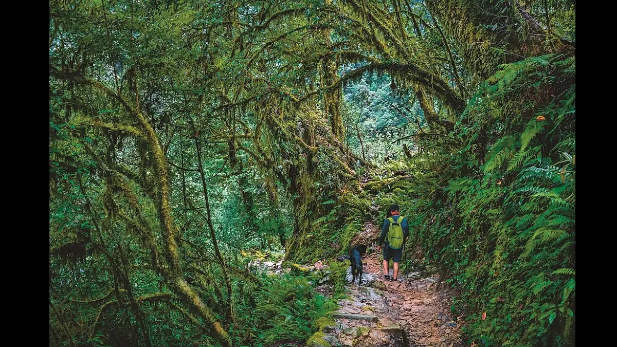 Inside the Khangchendzonga National Park