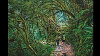 Inside the Khangchendzonga National Park