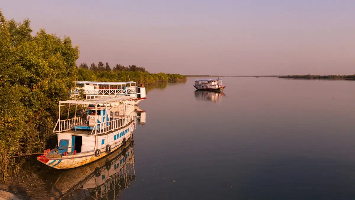 Amongst the largest mangrove forests in the world, Sunderbans has a mixture of trees and shrubs grow