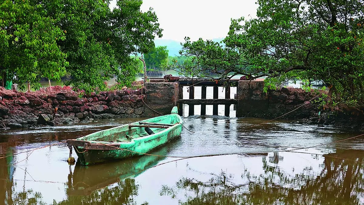 The Green Corridors: Can Goa's Khazans Mitigate The Effects Of Climate Change?