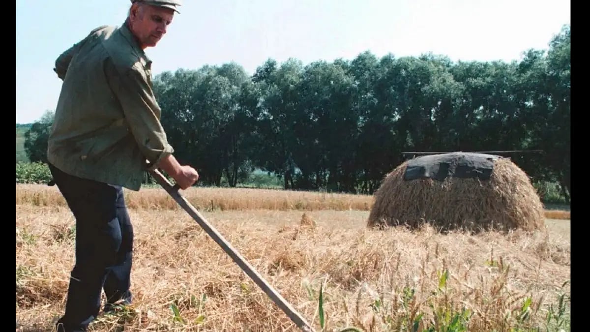 Representational Image