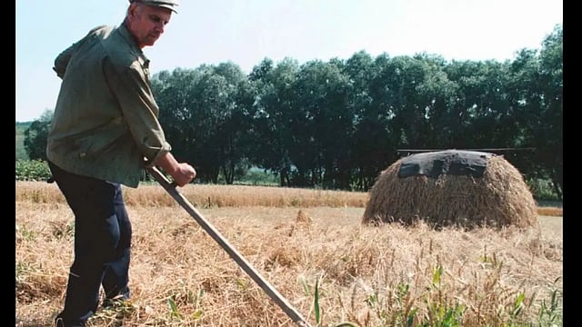  Russia Says Yes To Ukraine Grain Exports; Demands Black Sea Demined