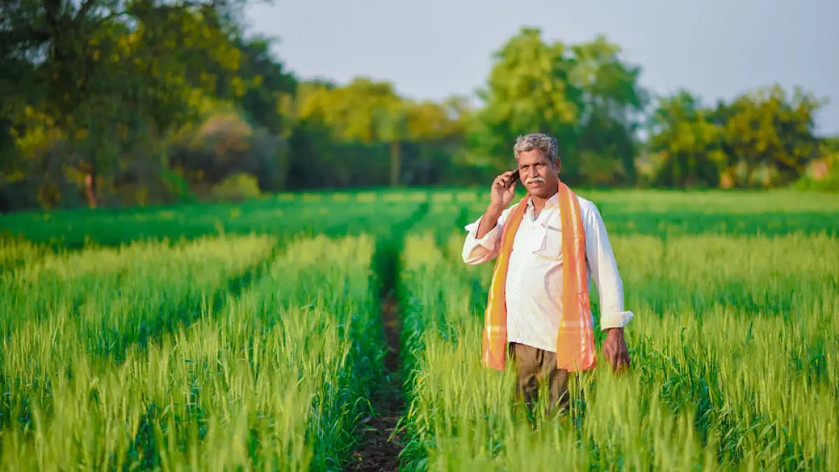 Scanty Rainfall In Jharkhand Cause For Concern, Farmers Unable To Sow Seeds: CM