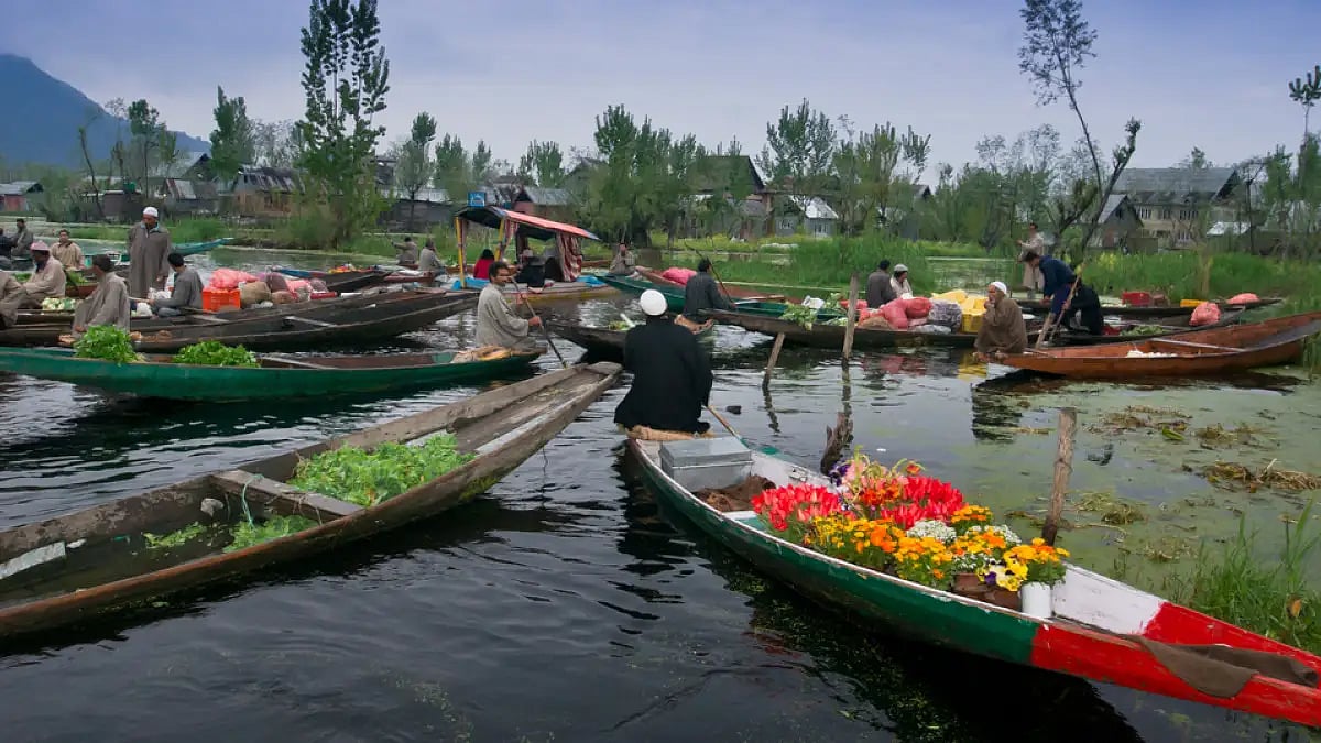 Kashmir is known for its floral bounty