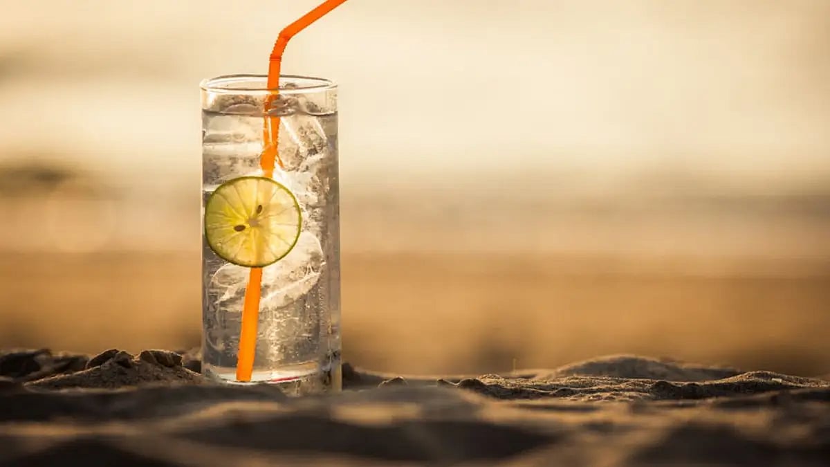 The story of India's first craft gin