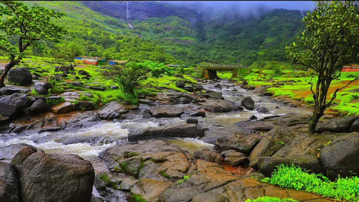 Rajmachi Fort trek consists of a serene beauty of nature