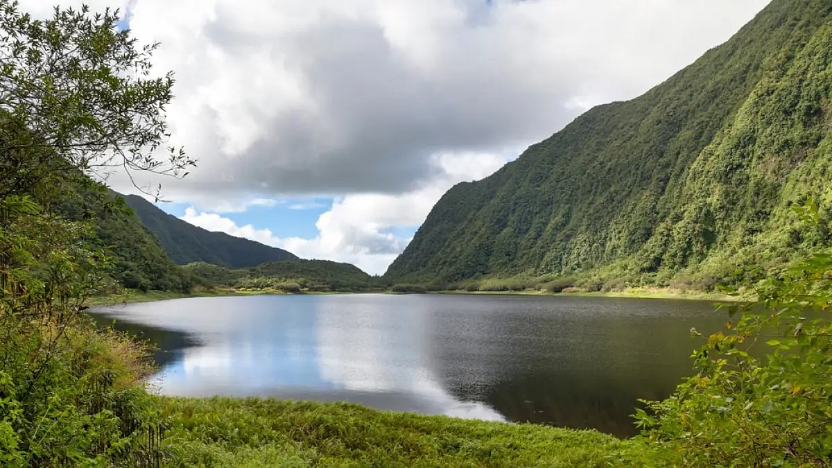 Representative image. Ranjit Sagar Lake is surrounded by greenery and hills across 74.76 acres