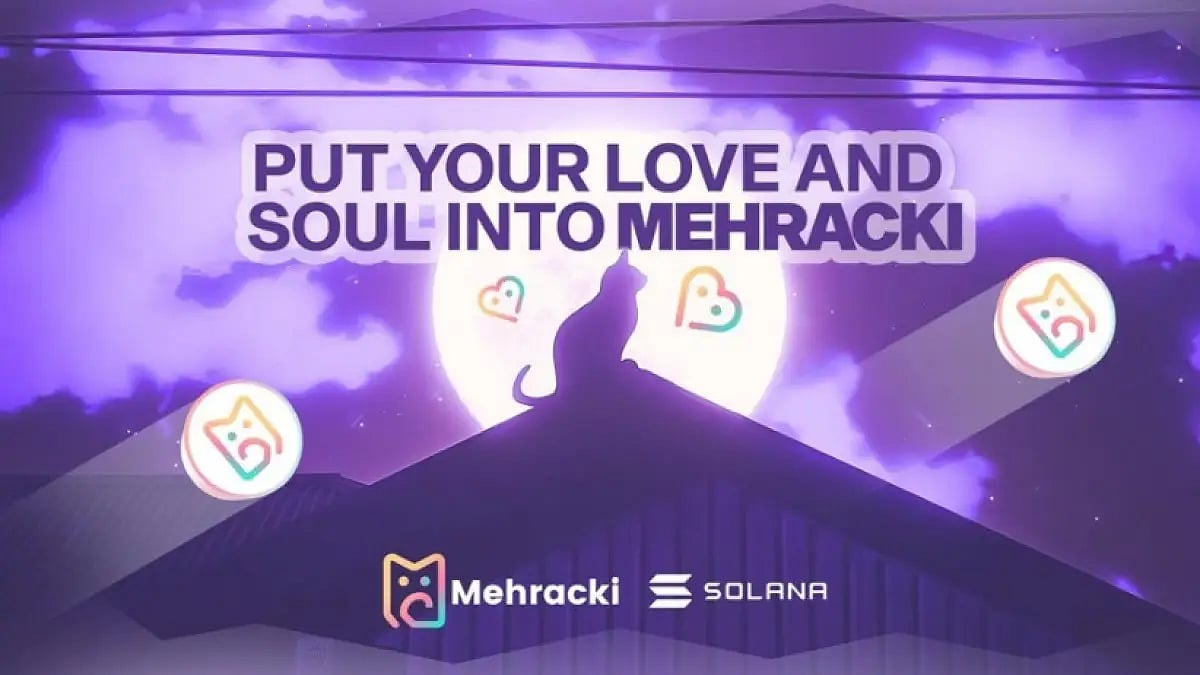 Can Mehracki (MKI) match the success of Aave (AAVE) and Cardano (ADA)?