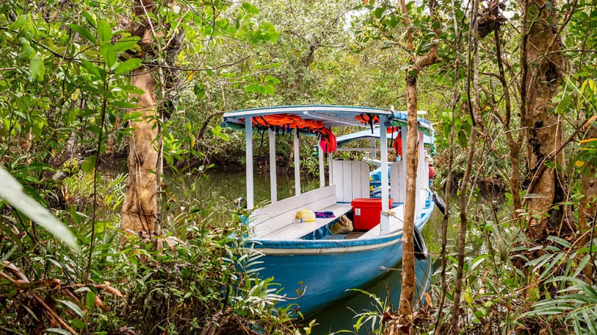 Boat Library in Bhitarkanika National Forest