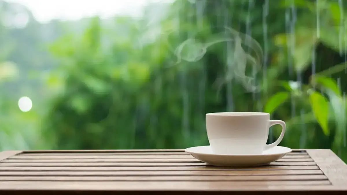 Pakistan has to borrow money to pay for tea imports I Shutterstock 